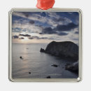 Search for horizon christmas tree decorations Sky