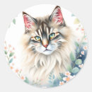 Search for surround stickers Flowers
