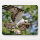 Search for large image mousepads Fish