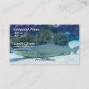 Search for shark business cards Underwater