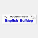 Search for english bulldog bumper stickers Puppy