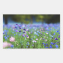 Search for blue cornflowers stickers Wildflowers