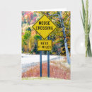 Search for moose photography New hampshire