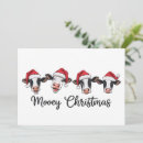 Search for heifer cards Winter