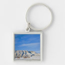 Search for metal horns key rings Sky