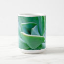 Search for succulent mugs Southwest