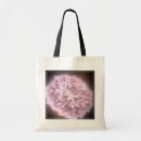 Search for impact bags Science