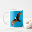 Search for flying eagle mugs Bald