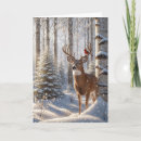 Search for birch trees christmas cards Cardinal