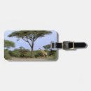 Search for acacia accessories Safari