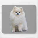 Search for pomeranian mousepads Dog