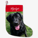 Search for lab christmas stockings Cute
