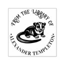 Search for possums crafts party Animals