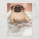 Search for bath invitations Funny