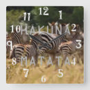 Search for cool zebra posters Wildlife