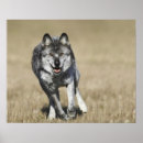 Search for aggression posters Speed