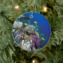 Search for coral reef christmas tree decorations Coast