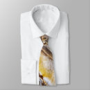 Search for geode ties Abstract