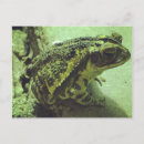 Search for will be toad postcards Frog