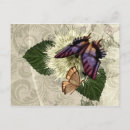 Search for flutter postcards Floral