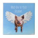 Search for flying pig tiles Believe