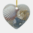 Search for shells christmas tree decorations Nature