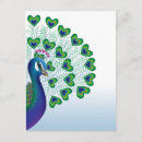 Search for love peacocks postcards Heart