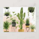 Search for indoors postcards Plant