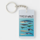 Search for mammals key rings Orca