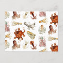 Search for cephalopod postcards Octopus