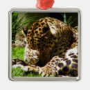 Search for wild christmas tree decorations Cat