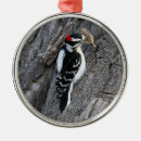 Search for woodpecker christmas tree decorations Animal