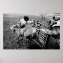 Search for black cowboy posters Bull