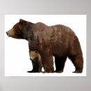 Search for bear cub posters Baby