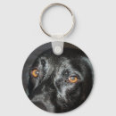 Search for black eye key rings Eyes