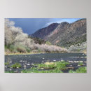 Search for rio grande river posters New mexico