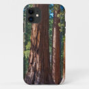 Search for redwood tree iphone cases California