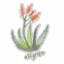 Search for watercolor succulent stickers Nature