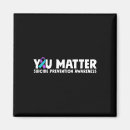 Search for bipolar magnets Stigma