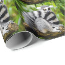 Search for ring tailed lemur gift wrap Monkey
