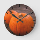 Search for plump Pumpkin