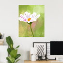 Search for cosmos posters Modern