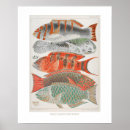 Search for barrier art Vintage