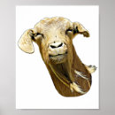 Search for silly face posters Cute