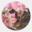 Search for pretty kitty stickers Floral