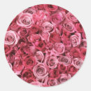 Search for pink rose petals stickers Pretty