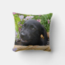 Search for black labrador cushions Funny
