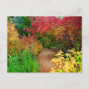 Search for paths postcards Autumn