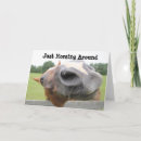 Search for equestrian seasonal cards Equine