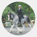 Search for clydesdale horse stickers Draught